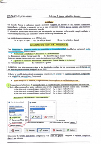 Apuntes Practica 5.pdf