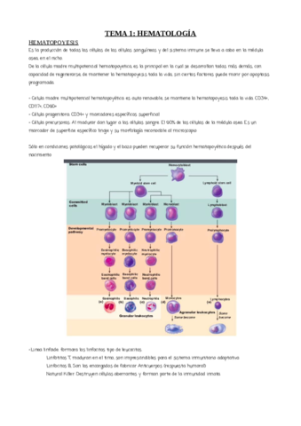 ilovepdfmerged-2.pdf