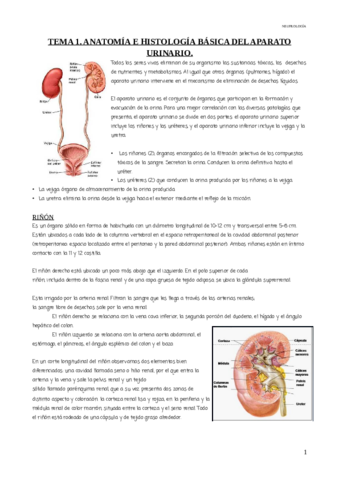 ilovepdfmerged-2.pdf