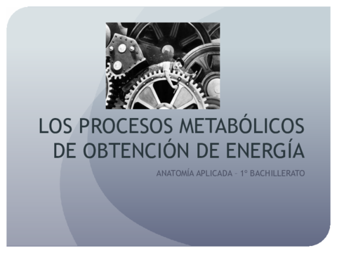 METABOLISMO.pdf