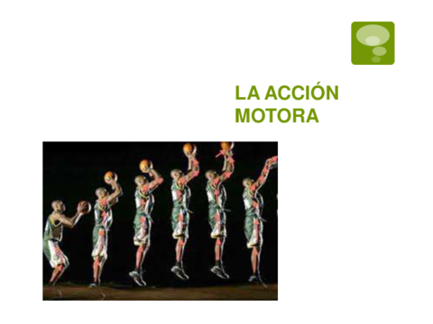 LA-ACCION-MOTORA.pdf