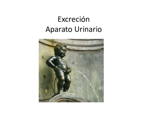 EXCRECION-APARATO-URINARIO.pdf