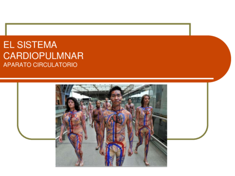 SISTEMA-CARDIOPULMONAR-APARATO-CIRCULATORIO.pdf