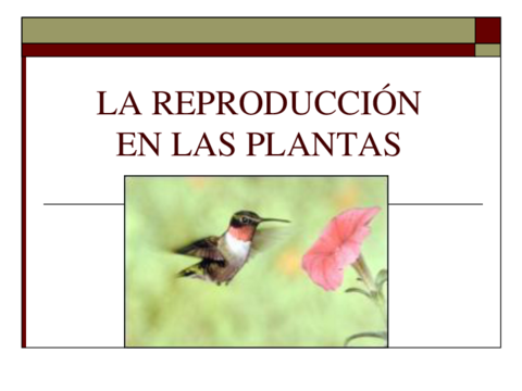Reproduccion-platas.pdf