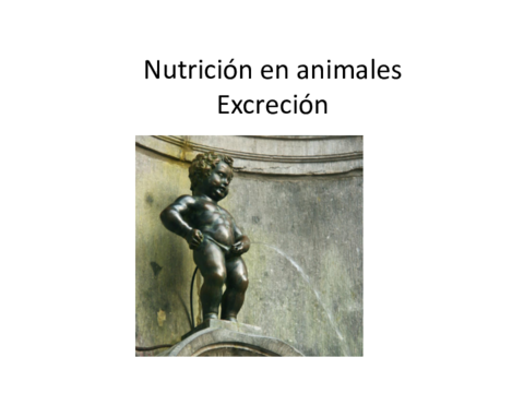 NUTRICION-ANIMAL-EXCRETOR.pdf