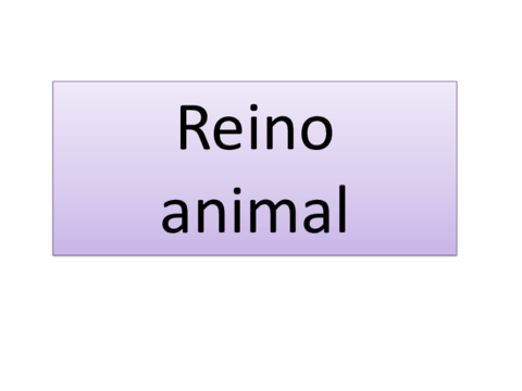 reino-animal.pdf