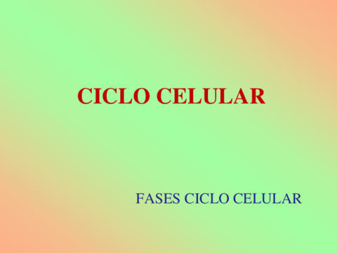 Ciclo-celular-fases.pdf
