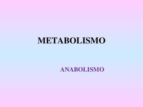 Metabolismo-anabolismo-1.pdf