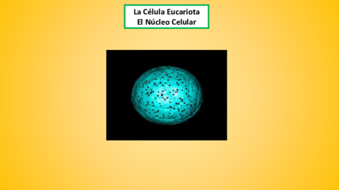 Elnucleo.pdf