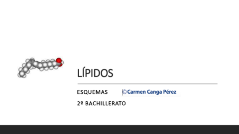 ESQUEMASLIPIDOS.pdf