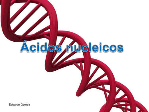 Acidos-nucleicos.pdf