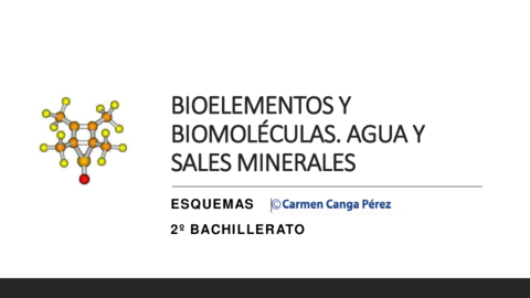 1ESQUEMASBIOELEMBIOMOLECAGUASALESMIN.pdf