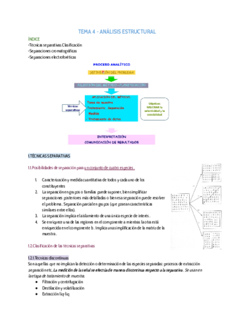 TEMA-4-ANALISIS-ESTRUCTURAL.pdf