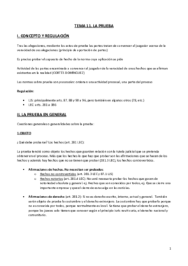 T11.La prueba.pdf