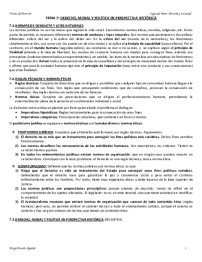 Teoría del Derecho Tema7.pdf