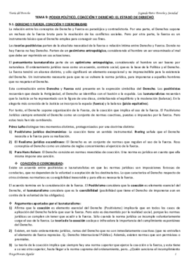Teoría del Derecho Tema9.pdf