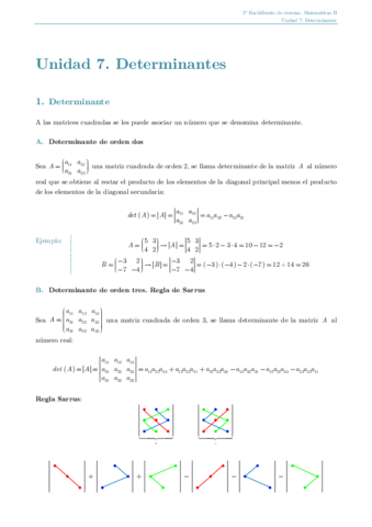 U07DETERMINANTEStema2021-22a.pdf