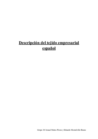 Descripcion-del-tejido-empresarial-espanol.pdf