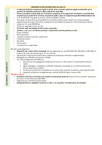 TEMA-1-IR-Y-SDRA.pdf