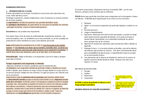 SEMINARIOS-PRACTICOS-neumo.pdf
