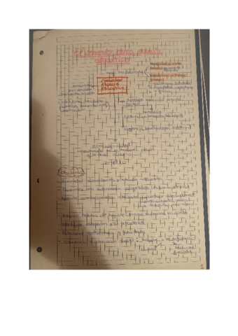 El-comedor-como-espacio-educativo-.pdf