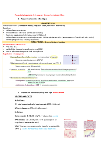 Fisiopatologia-general-de-la-sangre-y-organos-hematopoyeticos.pdf