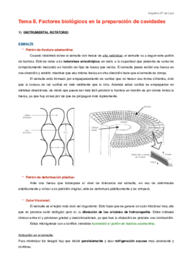 Tema 8.pdf