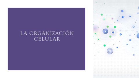 LA-ORGANIZACION-CELULAR-Bach.pdf