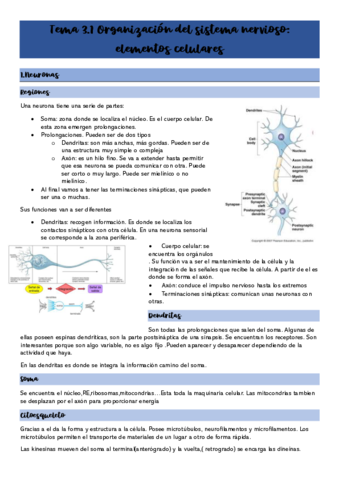 Tema-3.pdf