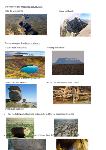 morfologias-tema-8.pdf