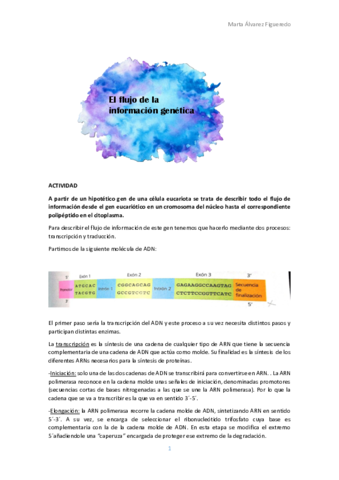 ACTIVIDAD-flujo-informacion-genetica.pdf