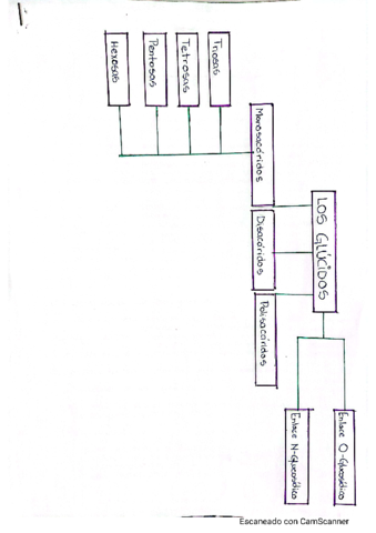 CamScanner-09-26-2022-17.pdf