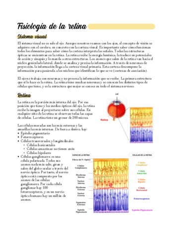 05-Fisiologia-de-la-retina.pdf