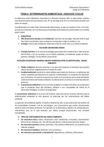 Tema-6.pdf