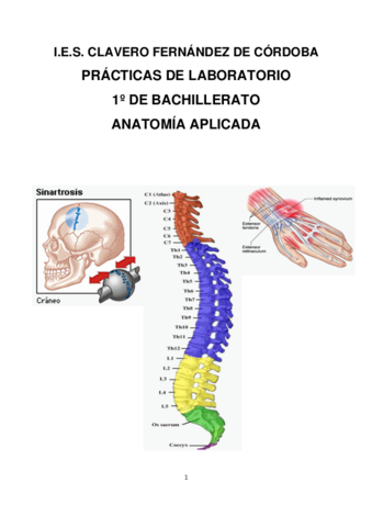practicasdelaboratoriodeanatomiaaplicada1odebachillerato.pdf