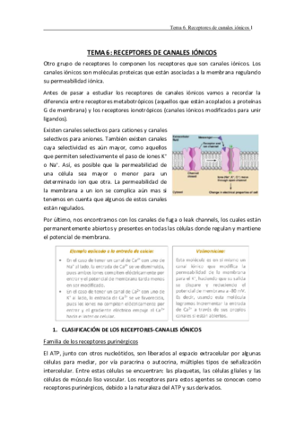 TEMA-6.pdf