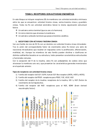 TEMA-5.pdf