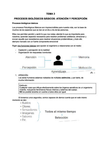 PSICOSOCIALES-TEMA-3.pdf