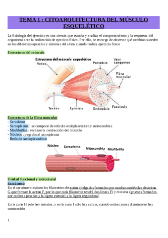 Tema-1-Introduccion.pdf