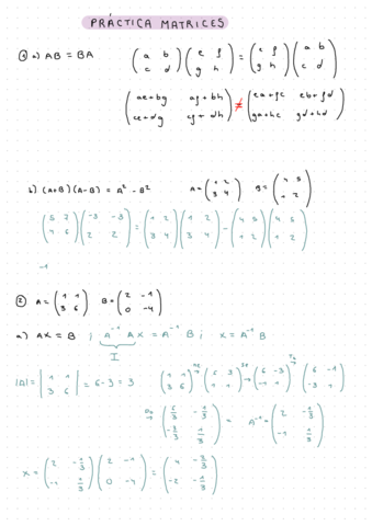 FICHA-2-EJERCICIOS-MATRICES-RESUELTOS.pdf