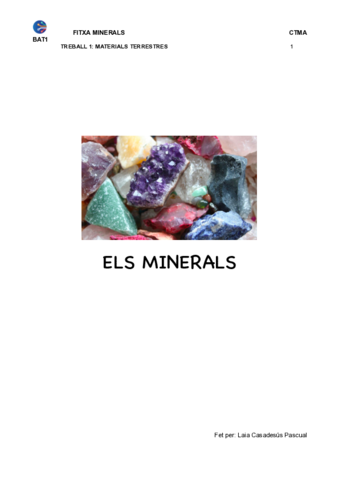 FITXA-MINERALS-tots.pdf
