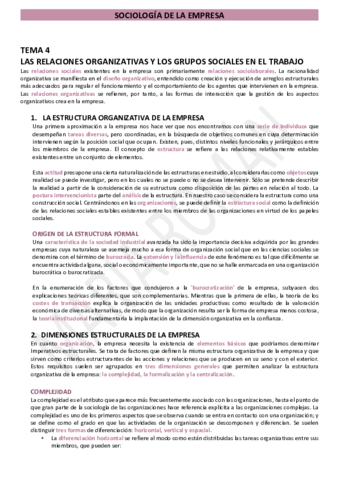 T4-SOCIOLOGIA-DE-LA-EMPRESA.pdf
