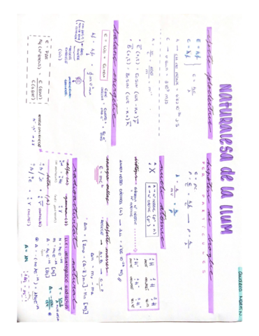 formulari-naturalesa-de-la-llum.pdf