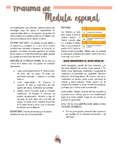 trauma-de-medula-espinal.pdf