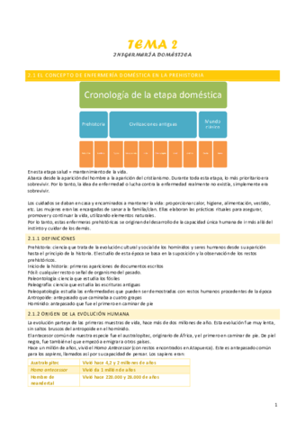 Tema-2-enfermeria-domestica.pdf