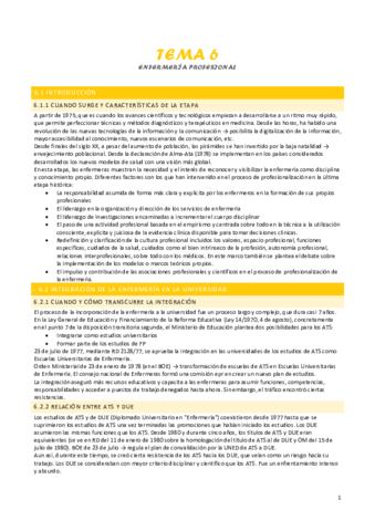 tema-6-enfermeria-profesional.pdf