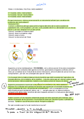 ambiental-T3-copia.pdf