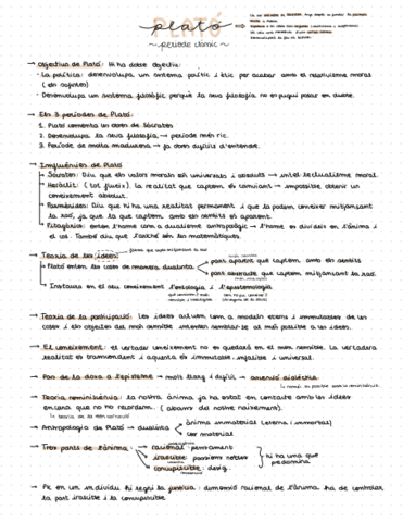 Resum-Plato.pdf