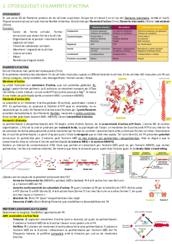resum-biocel-segon-parcial.pdf