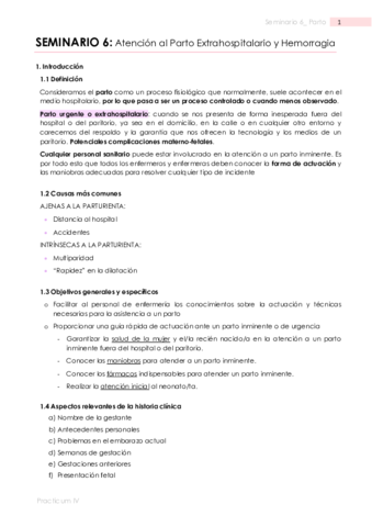 SEM6PARTO.pdf